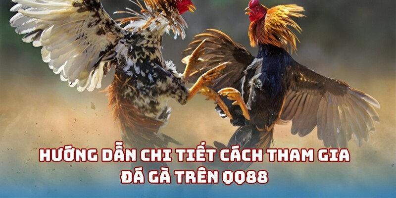 Hướng dẫn tham gia đá gà 88 hiệu quả