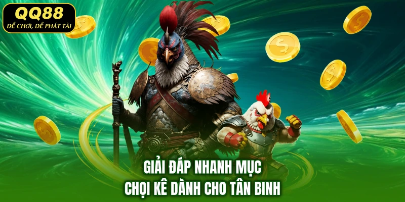 Giải đáp nhanh mục chọi kê dành cho tân binh