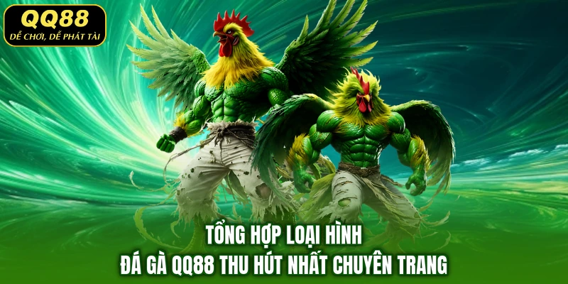 Tổng hợp loại hình đá gà QQ88 thu hút nhất chuyên trang