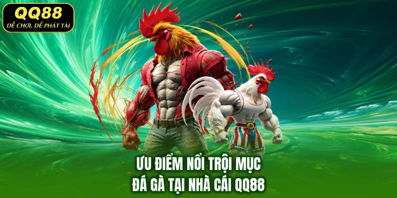 Ưu điểm nổi trội mục đá gà tại nhà cái QQ88